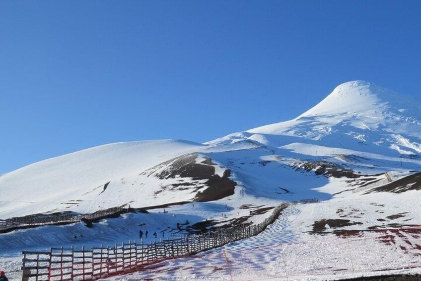 Vicente Peres Rosales National Park