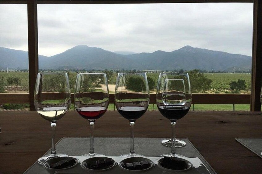 Private Wine Tour in Valparaiso 1