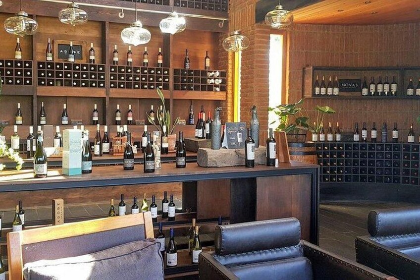 Private Wine Tour in Valparaiso 3