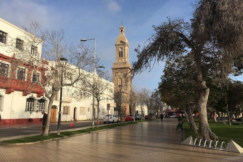 A paved walkway, a clock tower, and leafless trees. 3