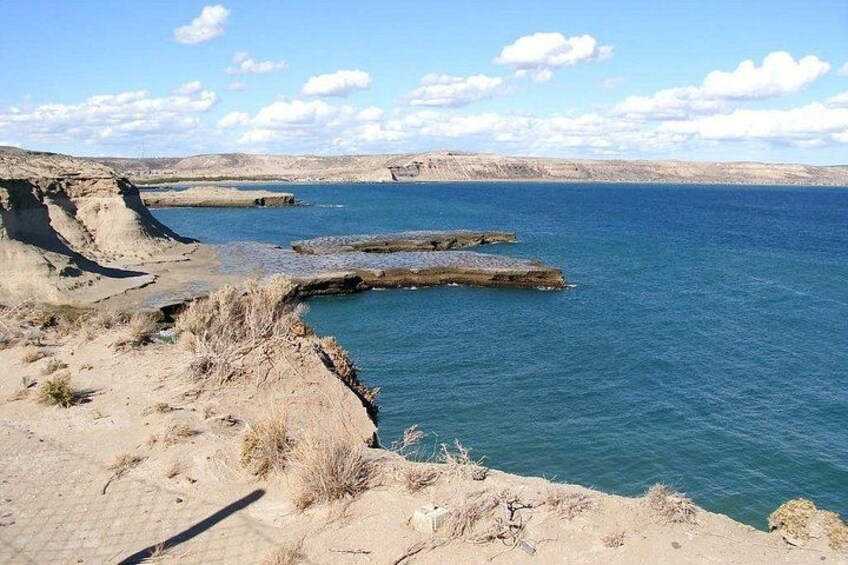 Shore Excursion: Private Day Trip to Peninsula Valdes from Puerto Madryn 1
