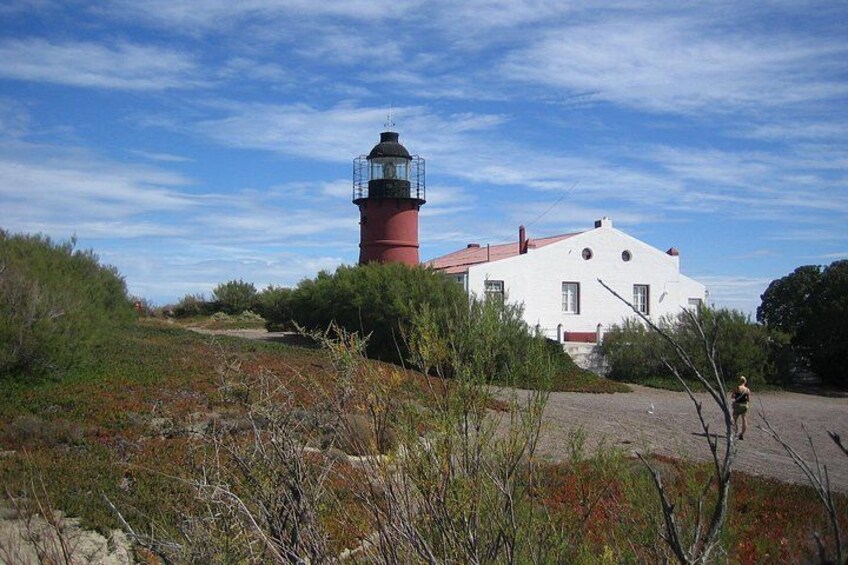 Shore Excursion: Private Day Trip to Peninsula Valdes from Puerto Madryn 2