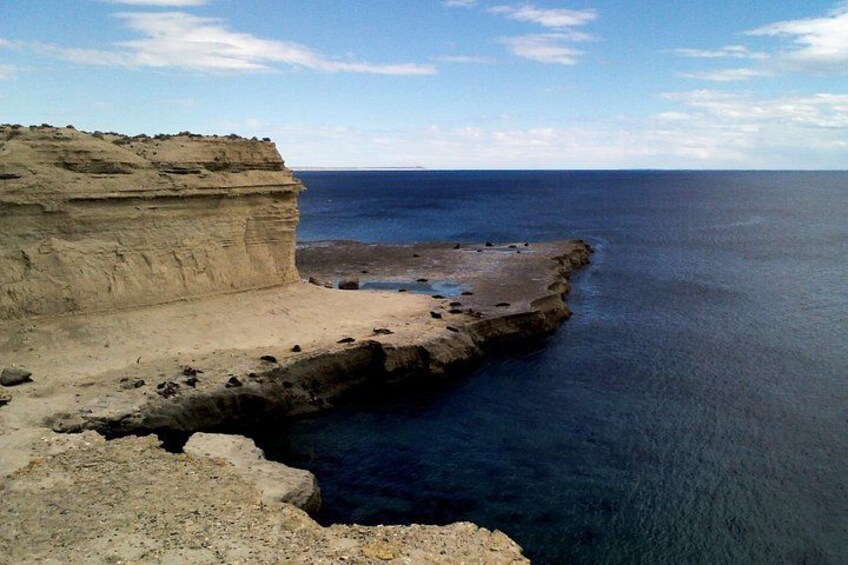 Shore Excursion: Private Day Trip to Peninsula Valdes from Puerto Madryn 4