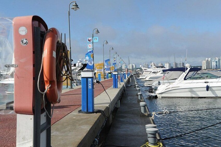 Punta del Este Shore Excursion: Private Sightseeing Tour of Punta del Este 4