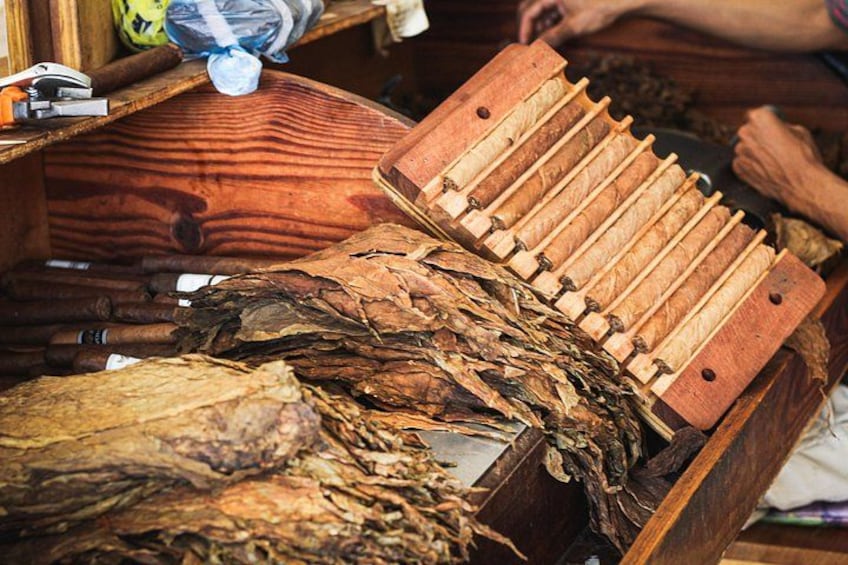 Dominican Cigar Factory Tour 2