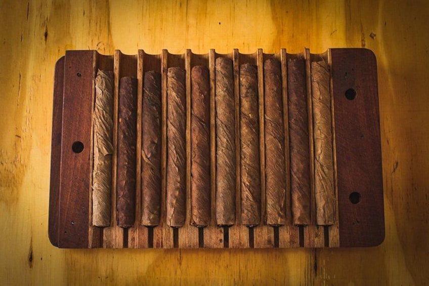 Dominican Cigar Factory Tour 5