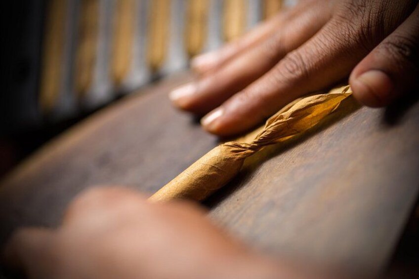 Dominican Cigar Factory Tour 1