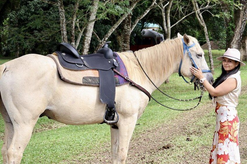 Un cheval de couleur claire, avec une selle et un mors, se tenant dans l’herbe, avec des arbres en arrière-plan. 3