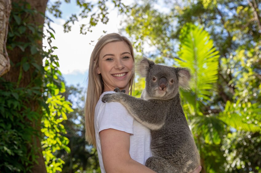 A person holding a koala. 5
