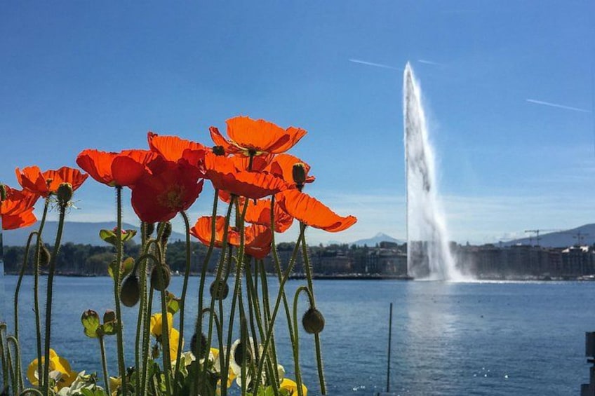 A lake with poppies and a fountain. 2