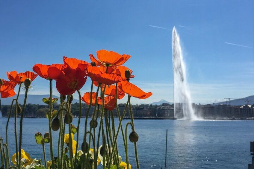Geneva chocolate tour highlight: scenic lakefront view with the iconic Jet d’Eau and spring blooms 3
