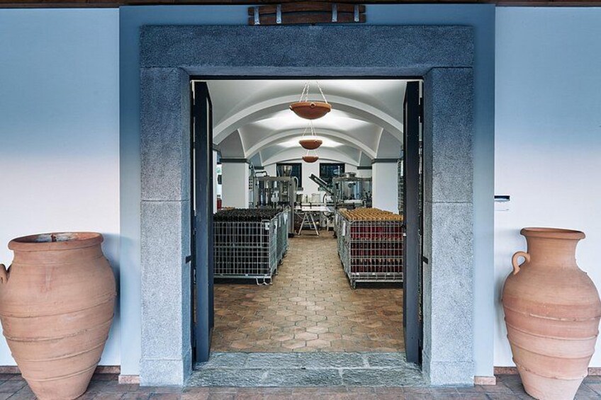 Pompeii with Wine Tasting and Lunch from Naples 4