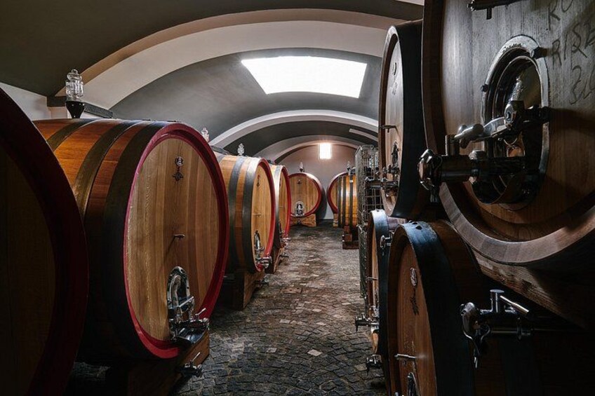 Pompeii with Wine Tasting and Lunch from Naples 3