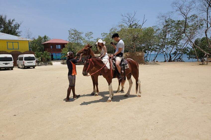 Horseback ride 1