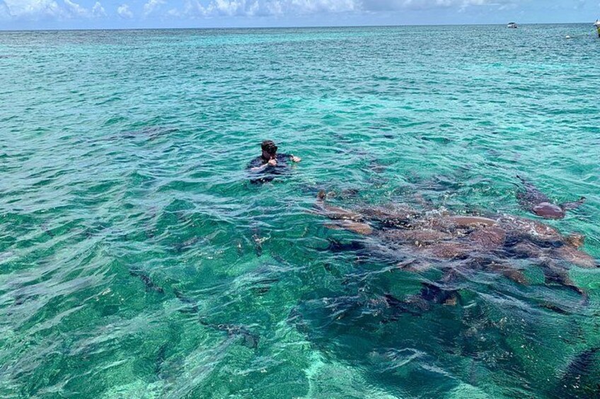 Turtle Garden Snorkeling Tour and Island Break 4