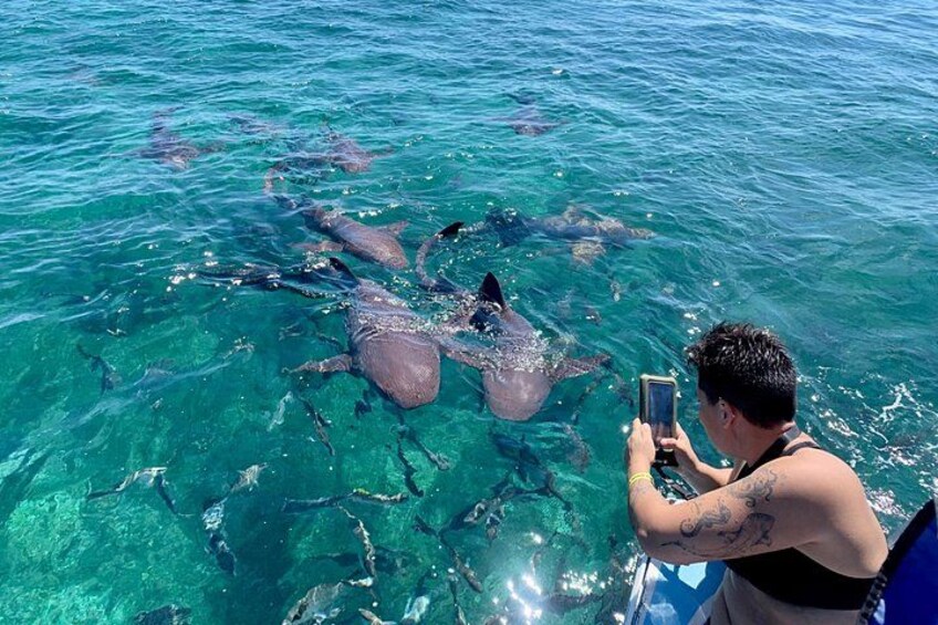 Turtle Garden Snorkeling Tour and Island Break 3