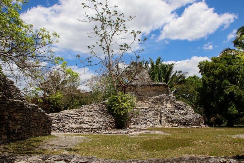 Ruina de piedra con cielo despejado y vegetación exuberante. 3