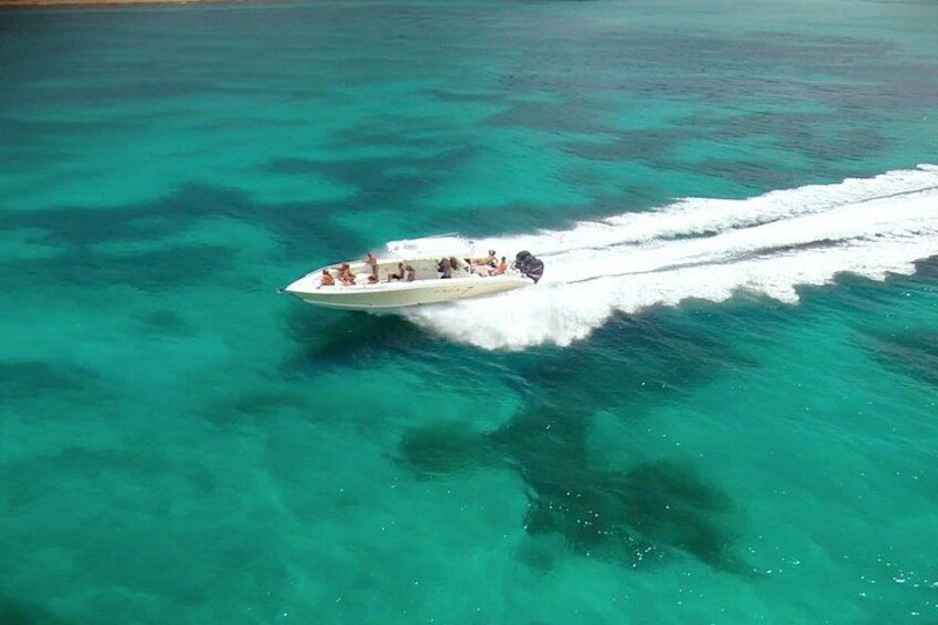 Cruising 2