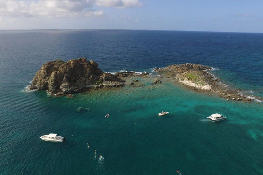Snorkeling spot - Creole rock 3