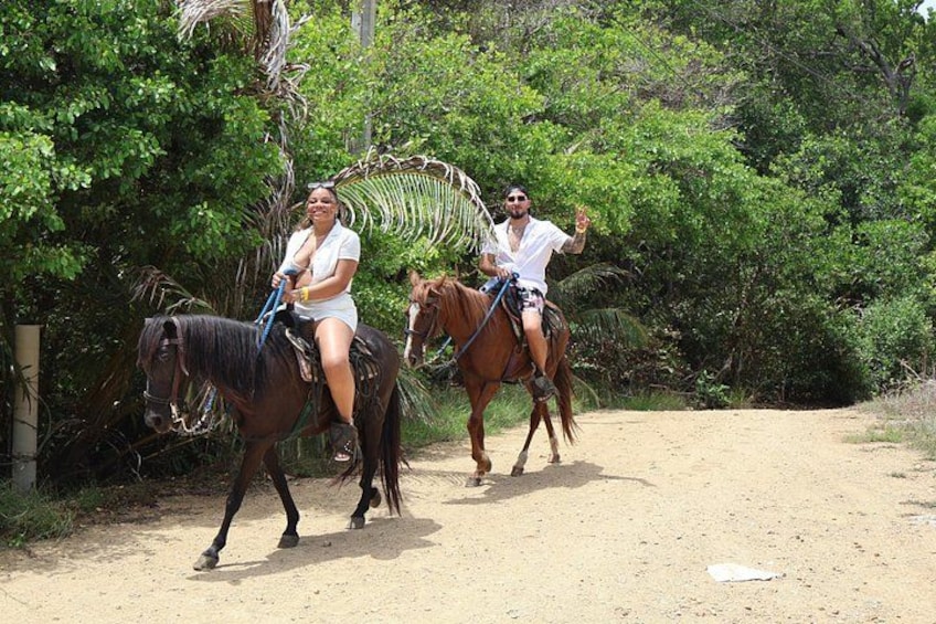 Two people riding horses on a dirt path surrounded by greenery. 4