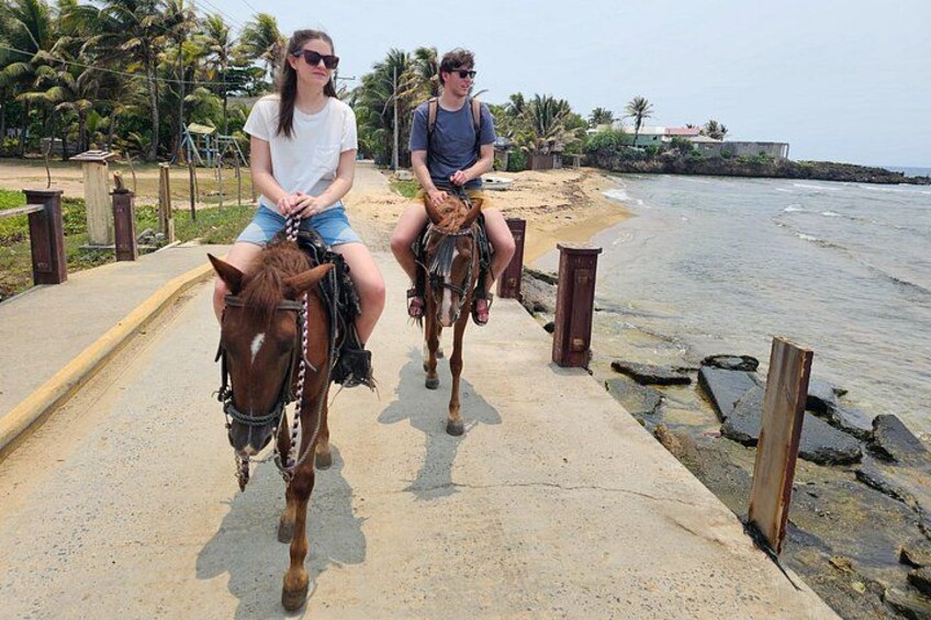 Roatan Horseback and Glass bottom boat Tour 1