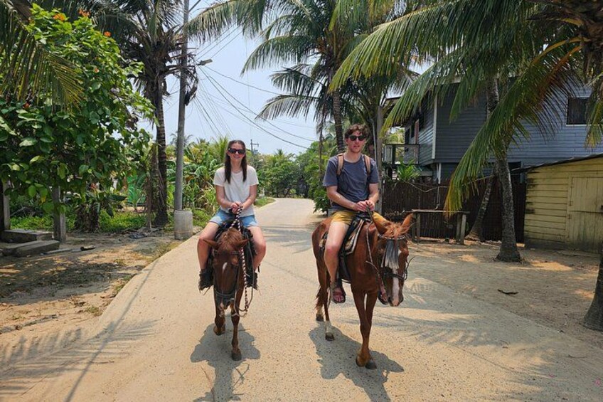 Roatan Horseback and Glass bottom boat Tour 4