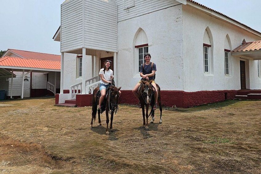 Roatan Horseback and Glass bottom boat Tour 3