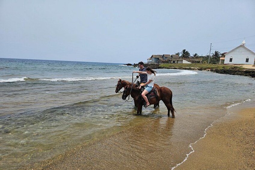 Roatan Horseback and Glass bottom boat Tour 5