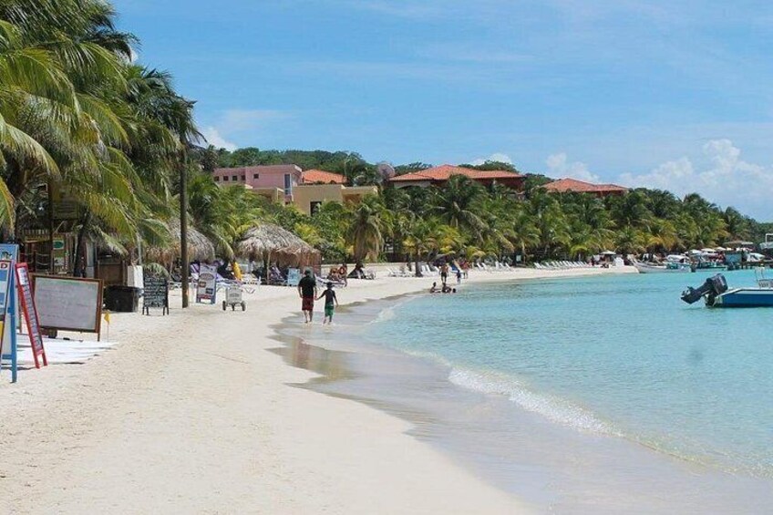 Roatan Bananarama Private Beach Resort Day Pass & Snorkel 5