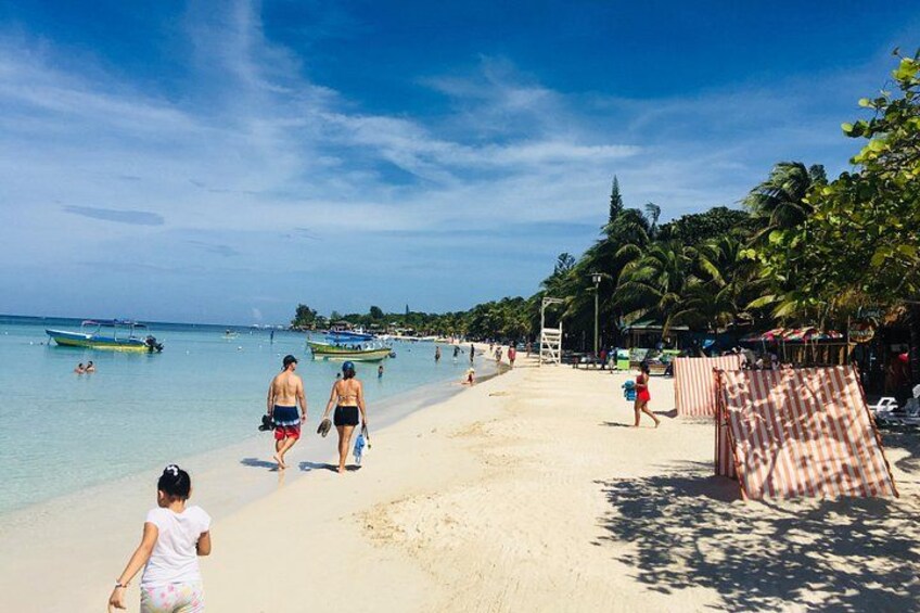 Extreme Zip Line Adventure with Wildlife and Snorkel 2