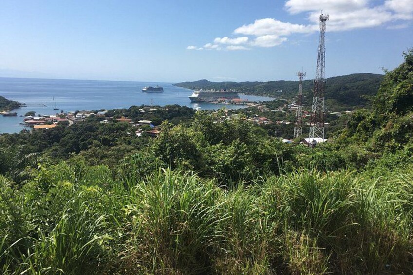 Extreme Zip Line Adventure with Wildlife and Snorkel 4