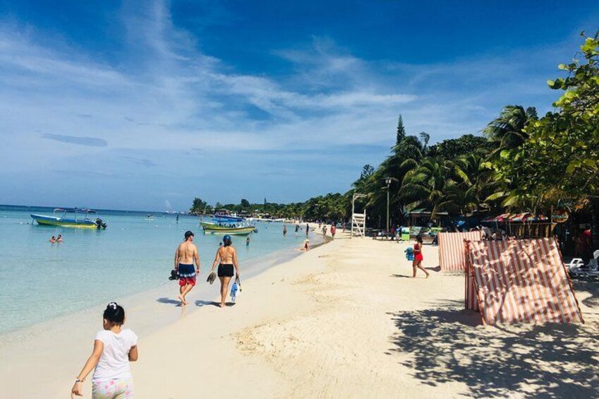 Extreme Zip Line Adventure with Wildlife and Snorkel 2