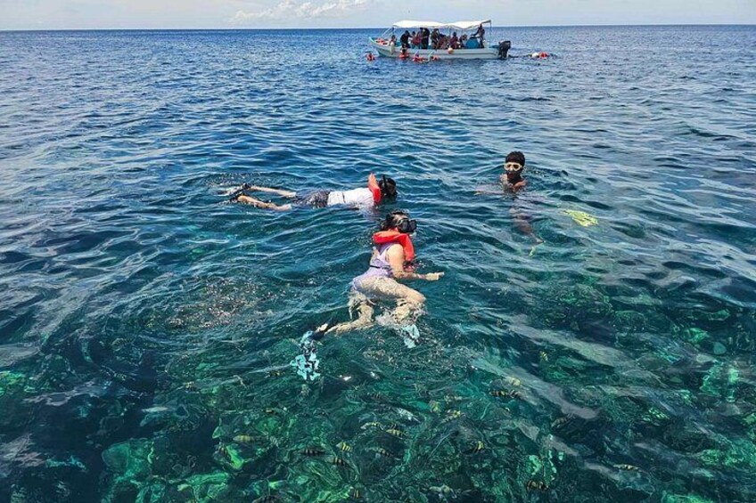 Roatan Combo Horseback Ride with Zip Line Wildlife and Snorkel 3
