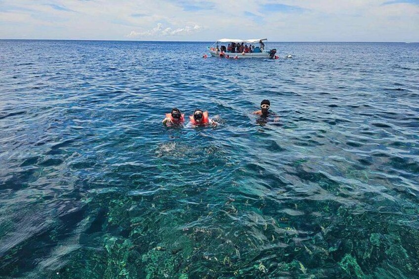 Roatan Combo Horseback Ride with Zip Line Wildlife and Snorkel 5