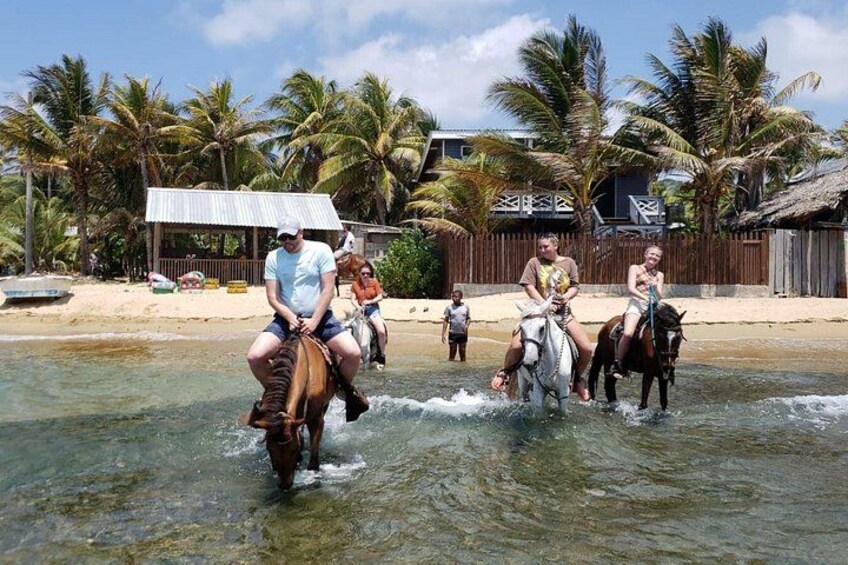 Roatan Combo Horseback Ride with Zip Line Wildlife and Snorkel 1