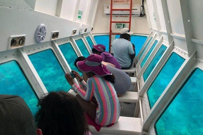 Roatan Zip Line Wildlife & Glass Bottom Boat Combo 1