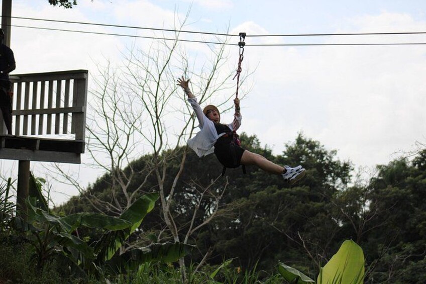 Roatan Zip Line Wildlife & Glass Bottom Boat Combo 5