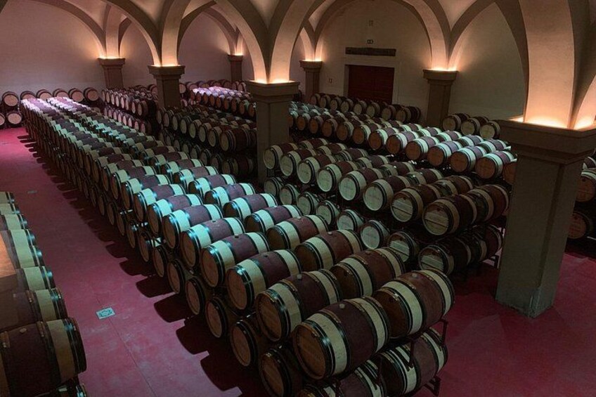 Rows of wine barrels in a dimly lit cellar with arched ceilings. 3