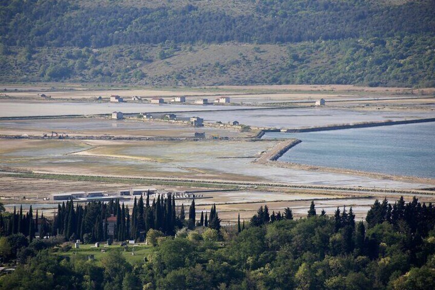 A coastal landscape with a series of water bodies, a forested area, and scattered buildings. 1