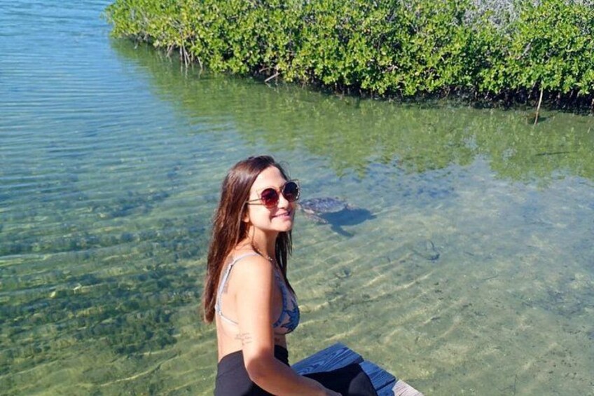 Blue hole, drift snorkeling, turtles Celebration Key is welcome 4
