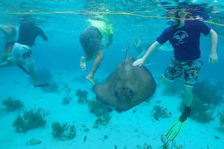 Starfish Point, Stingray City & Coral Garden (3-STOP Adventure) 3