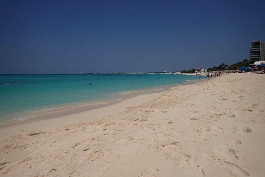4-Stop Stingray, Snorkel, Star Fish & 7 Mile Beach (Family Owned) 4