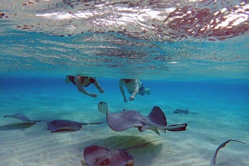 Beautiful blue and green water with Stingray City sandbar. 1