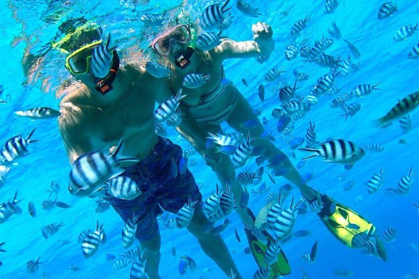 Deux personnes font de la plongée avec tuba, avec des poissons en arrière-plan. 2