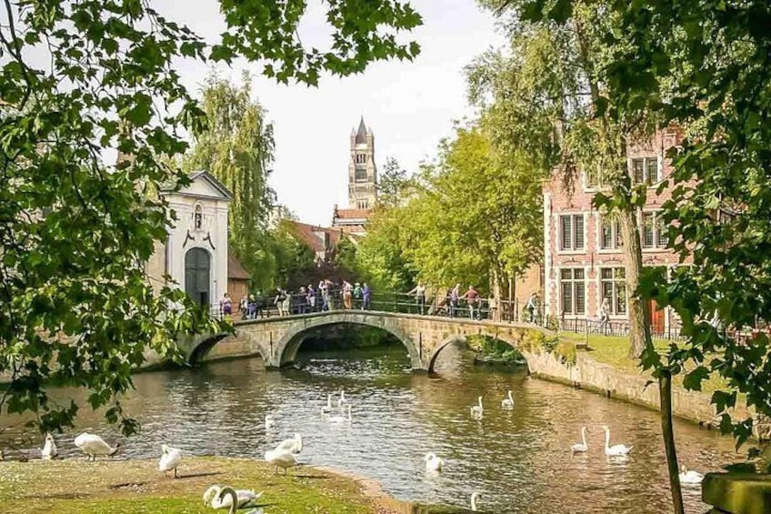 Private tour : Treasures of Flanders Ghent and Bruges from Brussels Full day 2