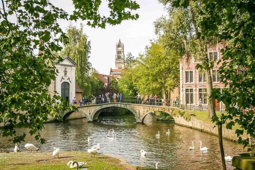 Eine Steinbrücke über einem Fluss mit Schwänen, umgeben von Bäumen und Gebäuden. 2