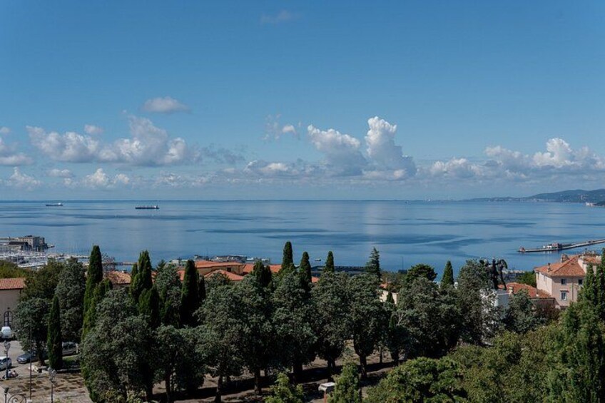 Coastal Escape: Izola&Marezige Wine Hills Private tour from Koper 3