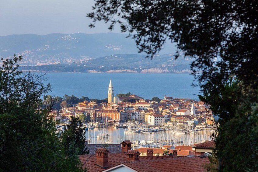Izola 5