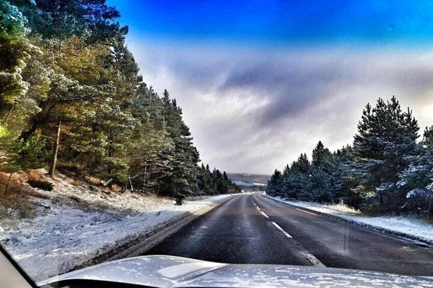 A snow-covered road flanked by trees under a cloudy sky. 2