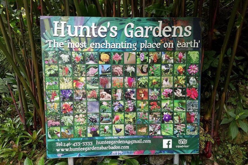 Skilt for Hunte's Gardens med et gitter af forskellige planter og blomster. 4
